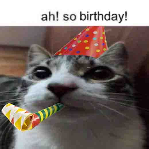 rinrin 📞 hello tweet media