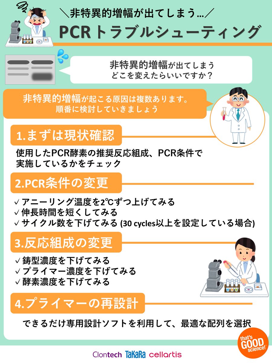 PCRトラブルシューティング』非特異的増幅が出てしまうケース⚡ 具体的