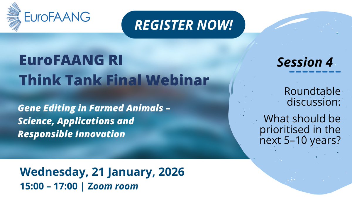 EuroFAANG tweet media