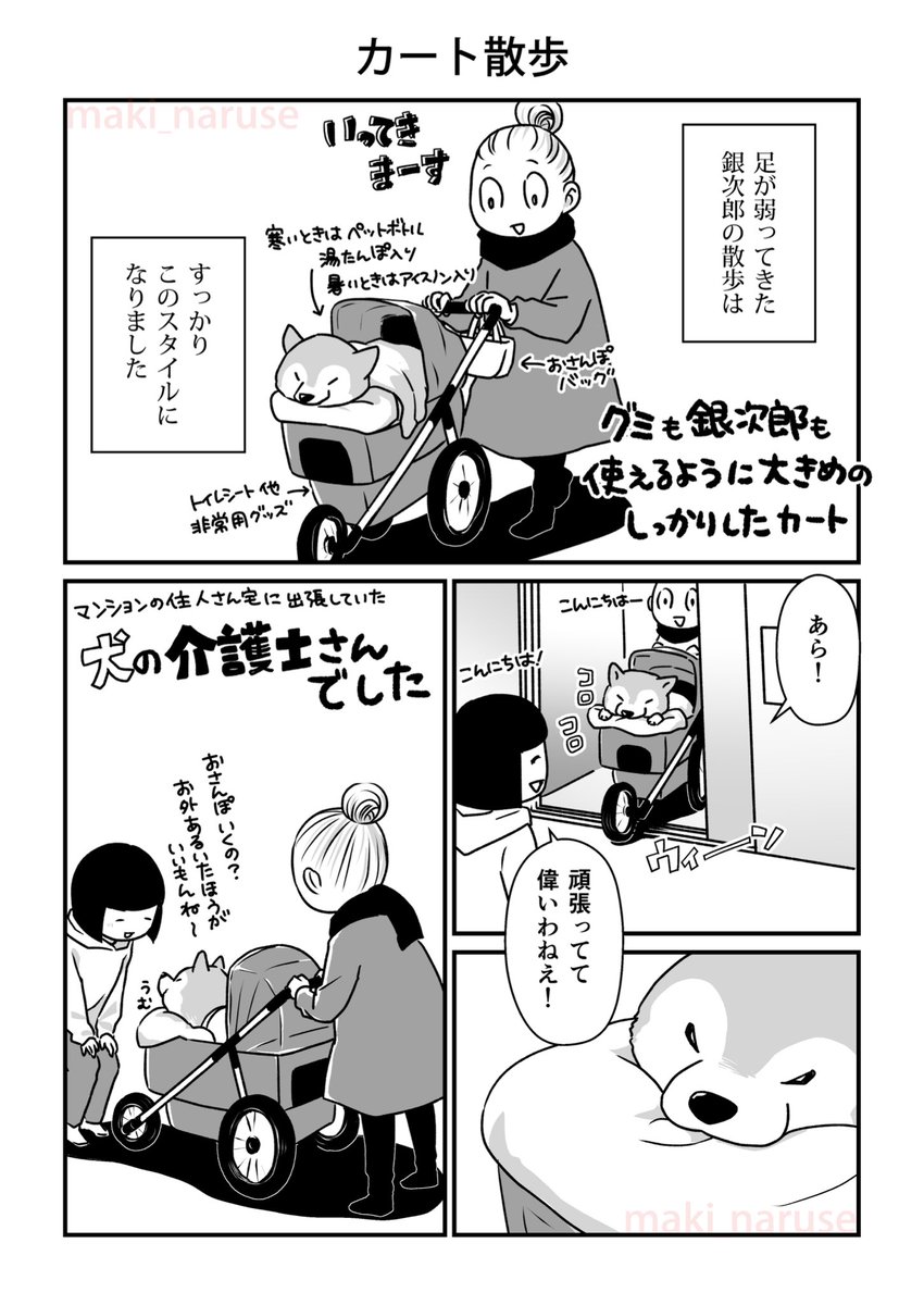 シニアになったグミと銀次郎の漫画(1/2)
13話目です🐾
かつて一緒に過ごしていた2匹が、老犬になってからまた出会いました。
ダックスフンドのグミと柴犬の銀次郎。2匹の再会からシニアの日々のお話です。