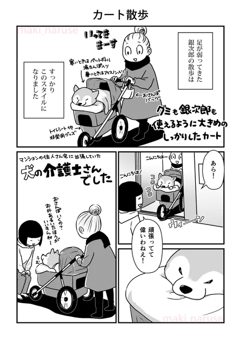 シニアになったグミと銀次郎の漫画(1/2)

13話目です🐾

かつて一緒に過ごしていた2匹が、老犬になってからまた出会いました。
ダックスフンドのグミと柴犬の銀次郎。2匹の再会からシニアの日々のお話です。 