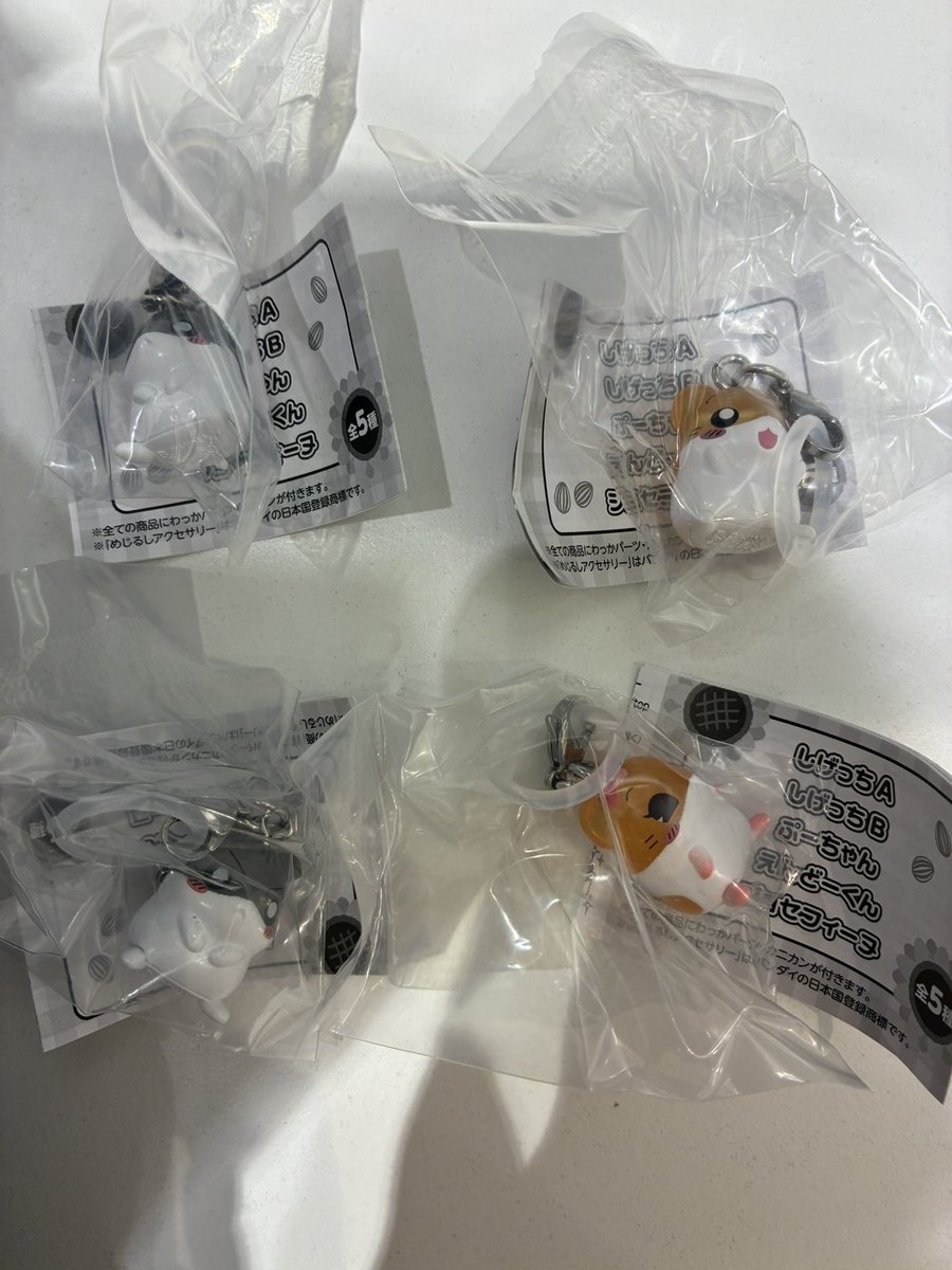 ちゃちゃまり(郵送,都内未定) tweet media