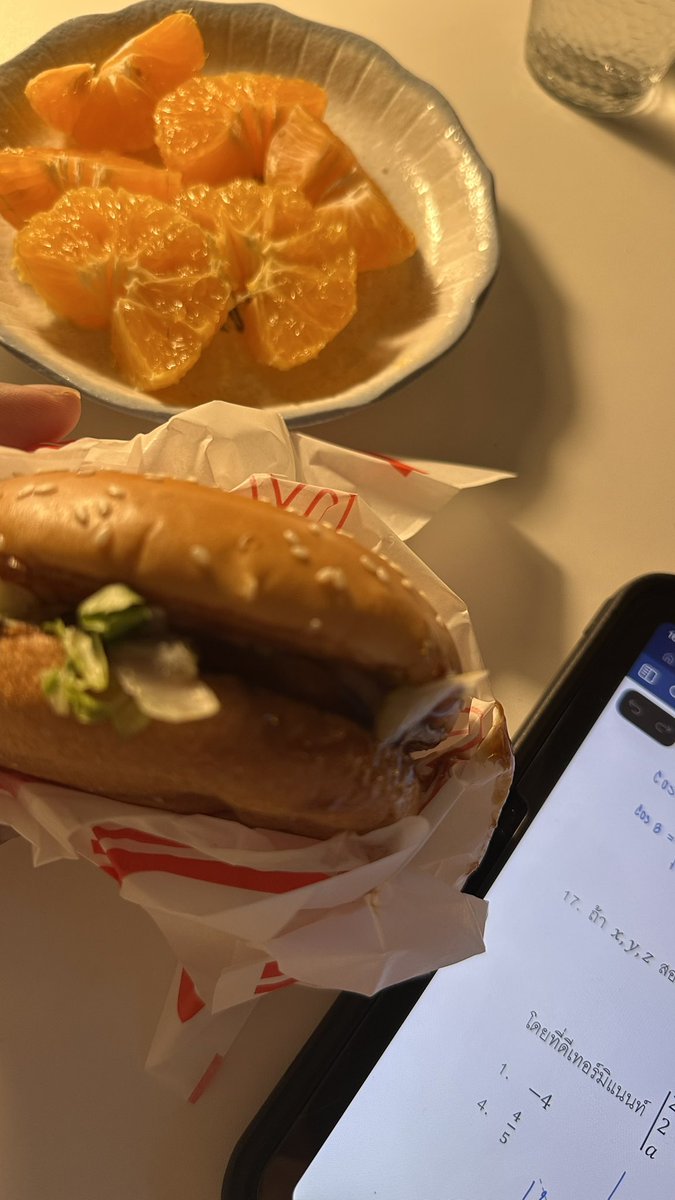 always junk food 🫩