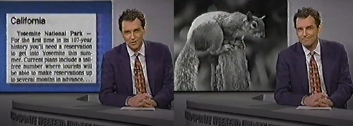 Norm Macdonald Joke of the Day tweet media