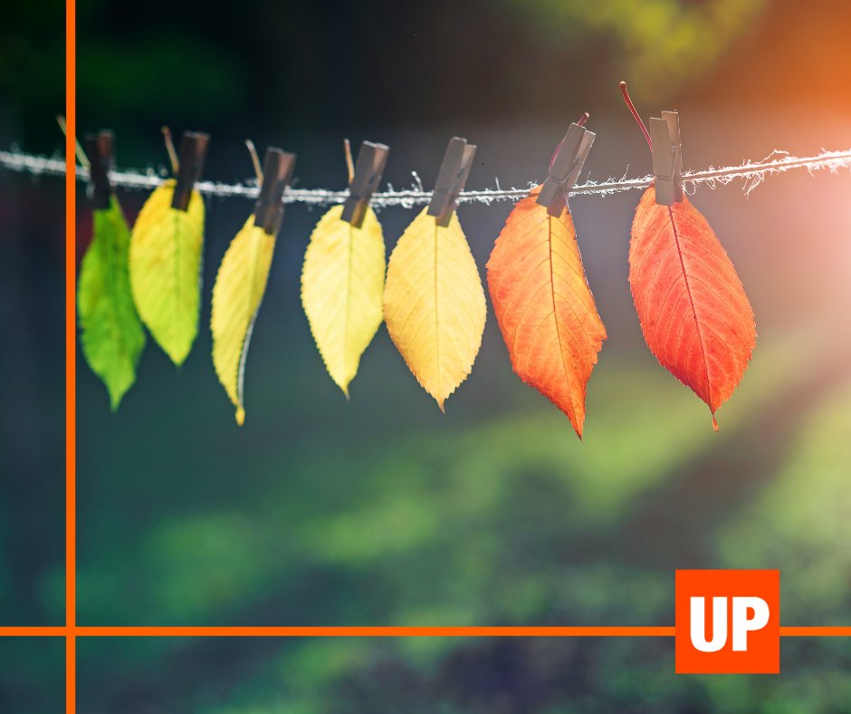 Upstream tweet media