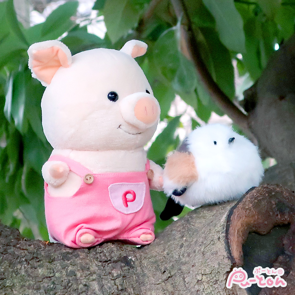 ぷーとん【公式】 (@puuton_ndi) / Posts / X