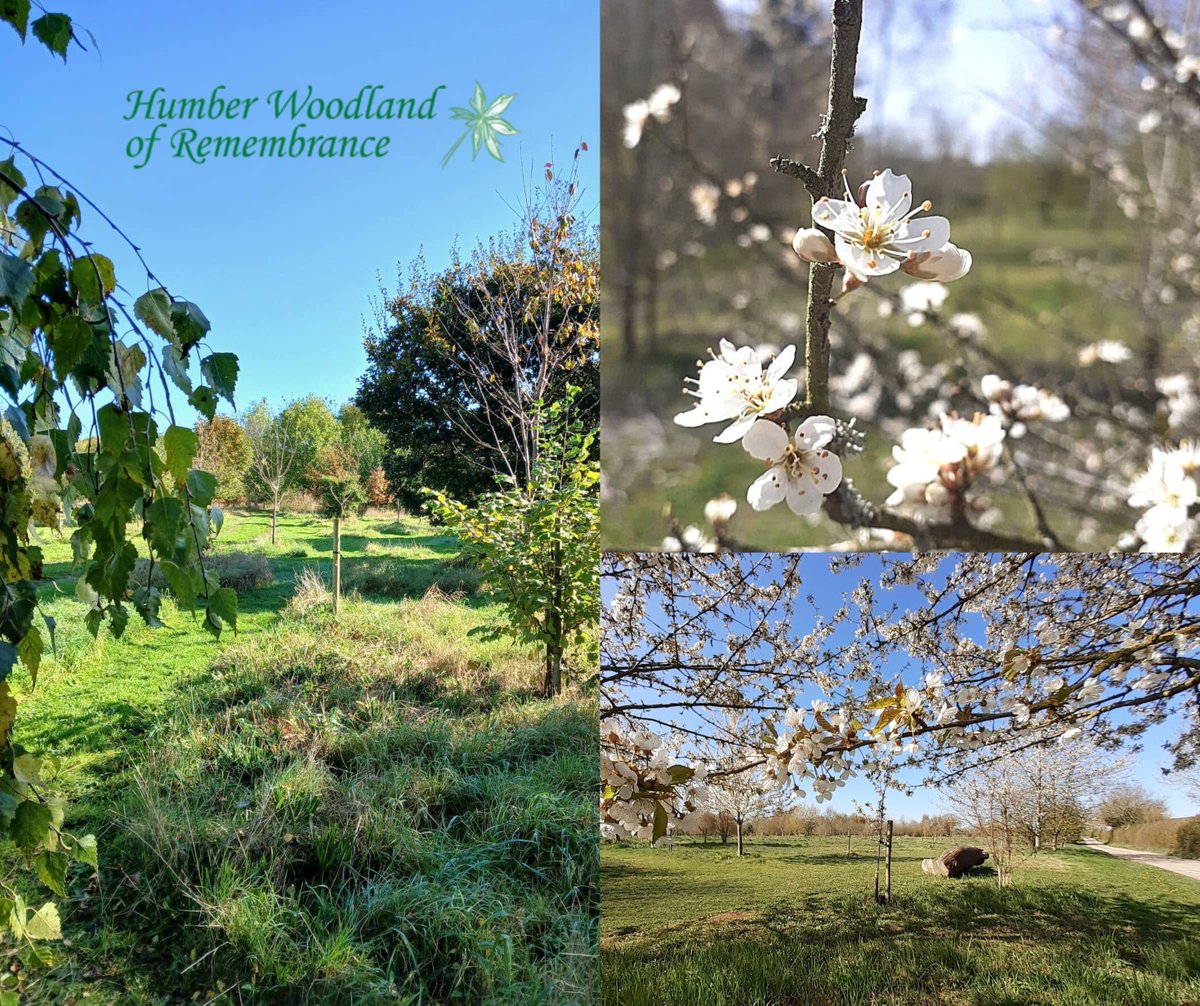 Jackson Family Funeral Directors tweet media