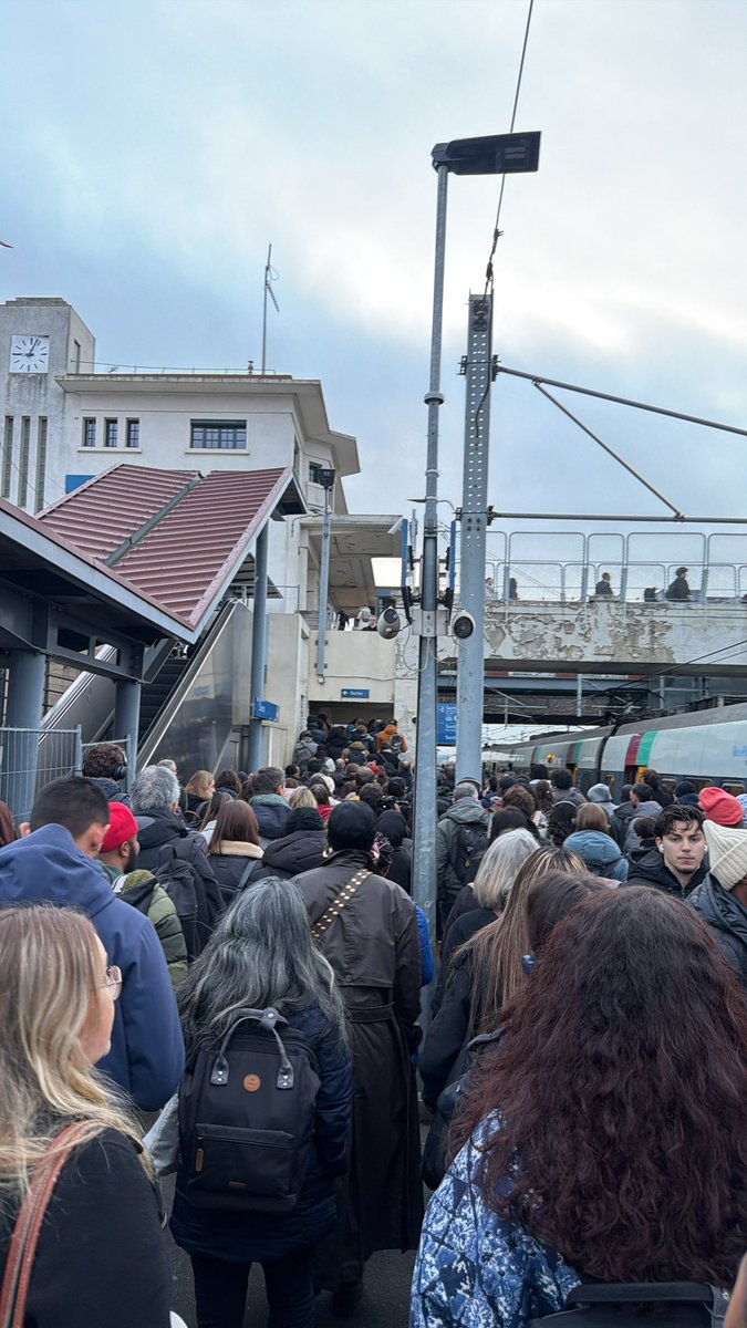 Vincent D tweet media