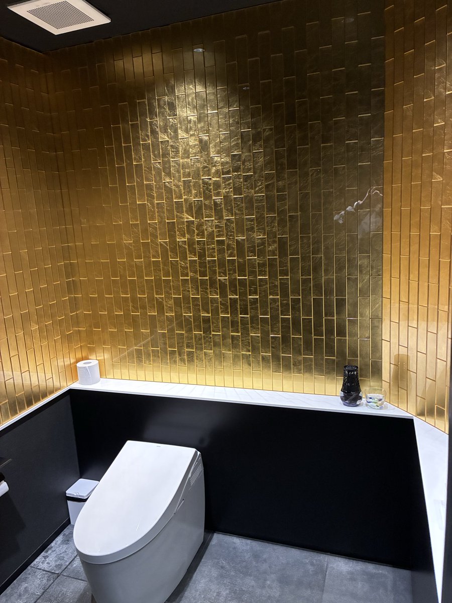 人生で初めてトイレの写真撮った