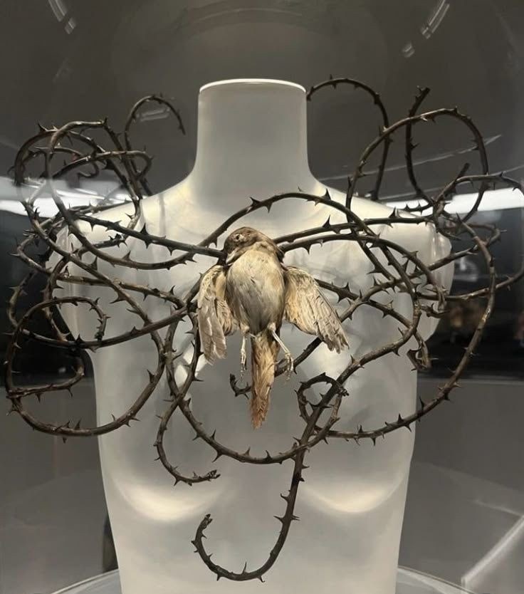 Kuşlarla Sohbetin Şartları 📚🕊️