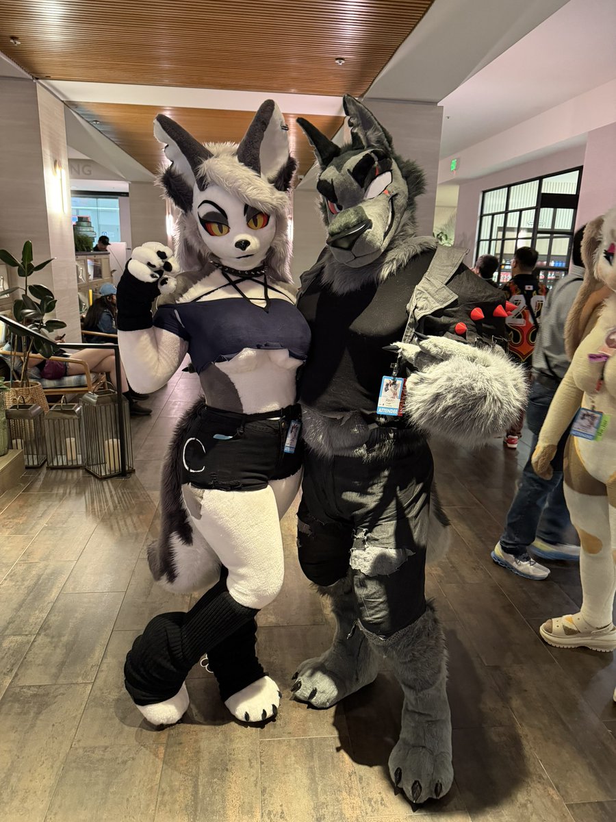 PhoebeFurry's tweet image. Loona x Tex! I hope he likes me…

🐺 - @RainCoug 
#HelluvaBoss #HelluvaBossLoona #FC2026