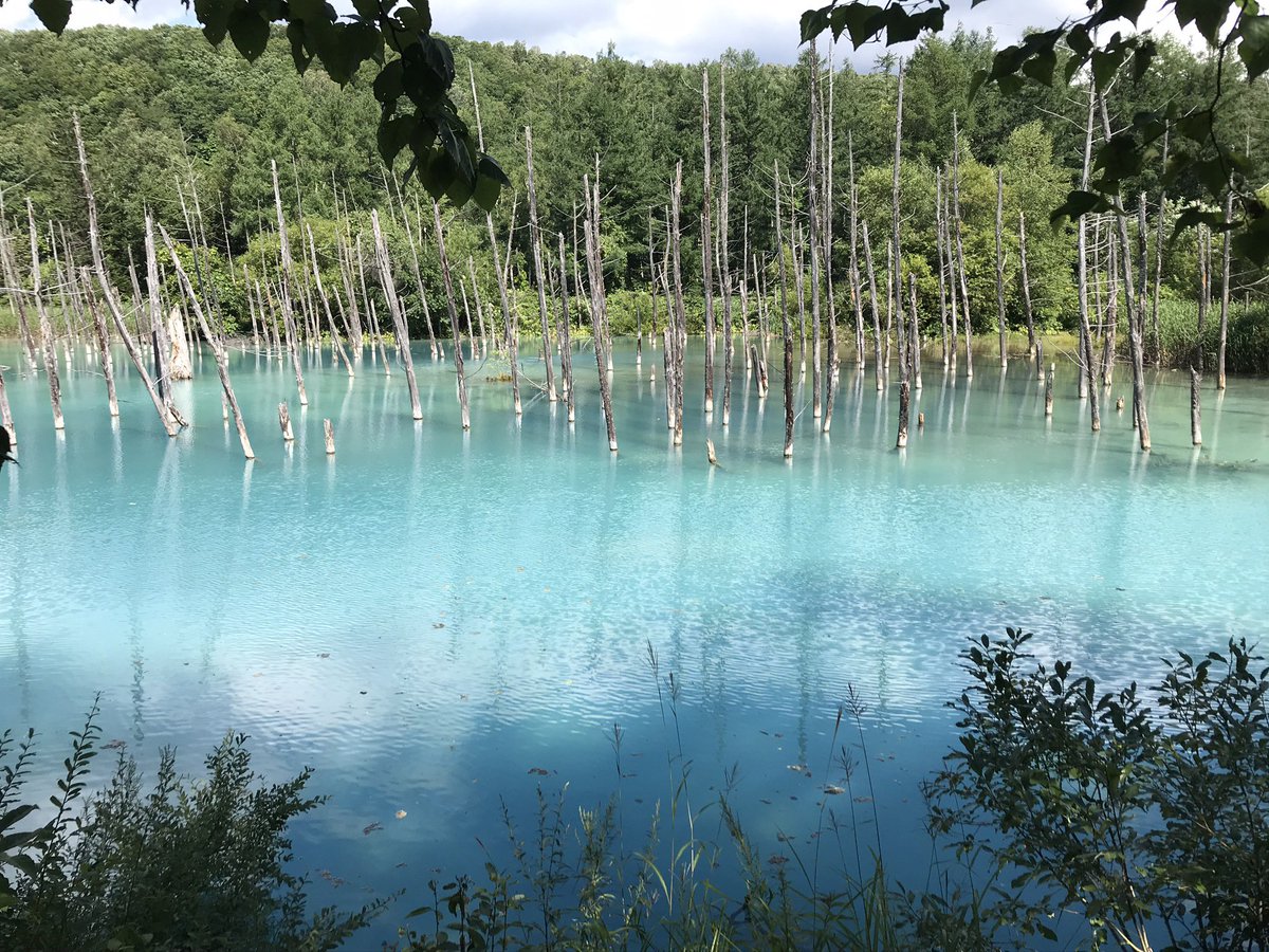 highcollar_tool's tweet image. 北海道のなんか綺麗な池行った時の写真が出てきた