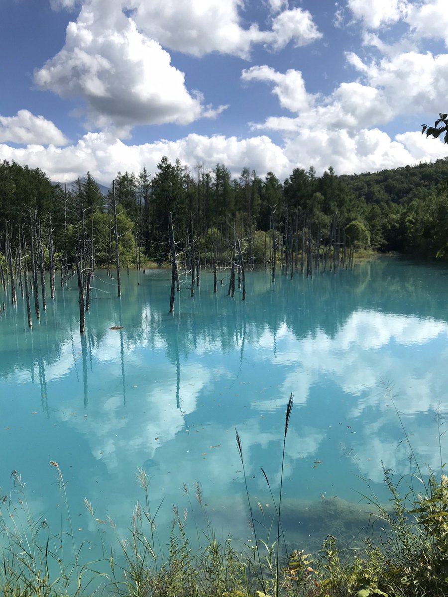 highcollar_tool's tweet image. 北海道のなんか綺麗な池行った時の写真が出てきた