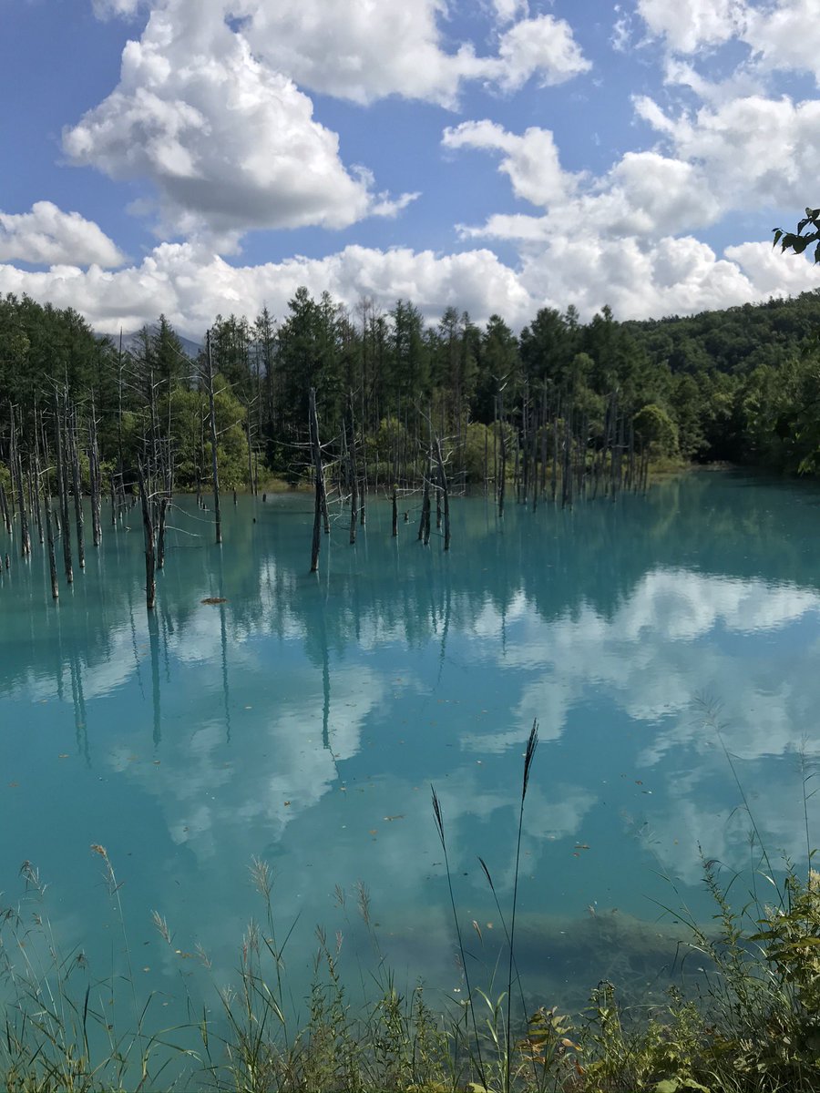 highcollar_tool's tweet image. 北海道のなんか綺麗な池行った時の写真が出てきた
