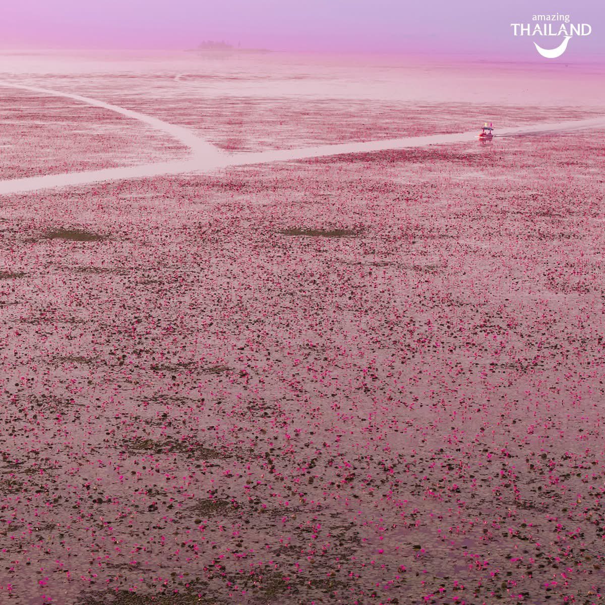 AmazingThailand (@go2thailand) on Twitter photo 