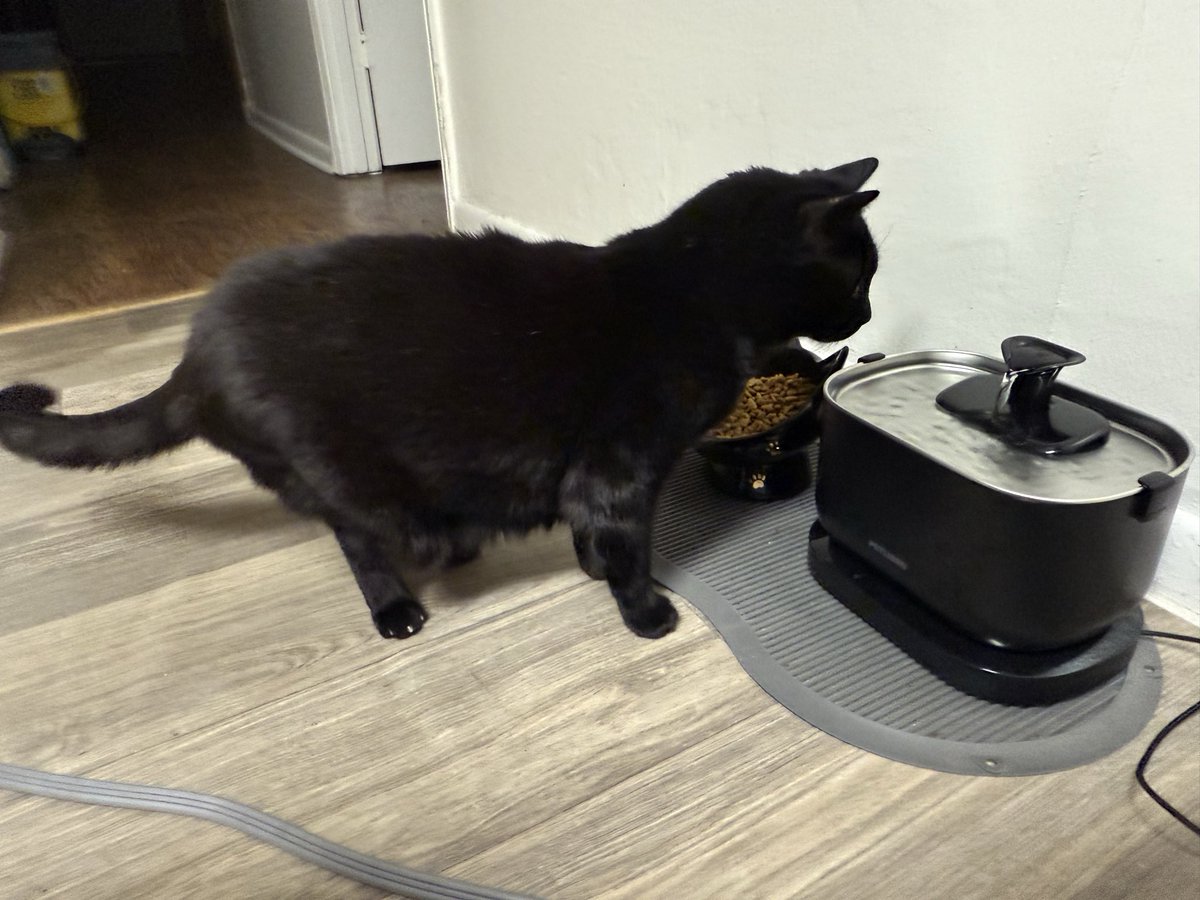 Evanesque tweet media