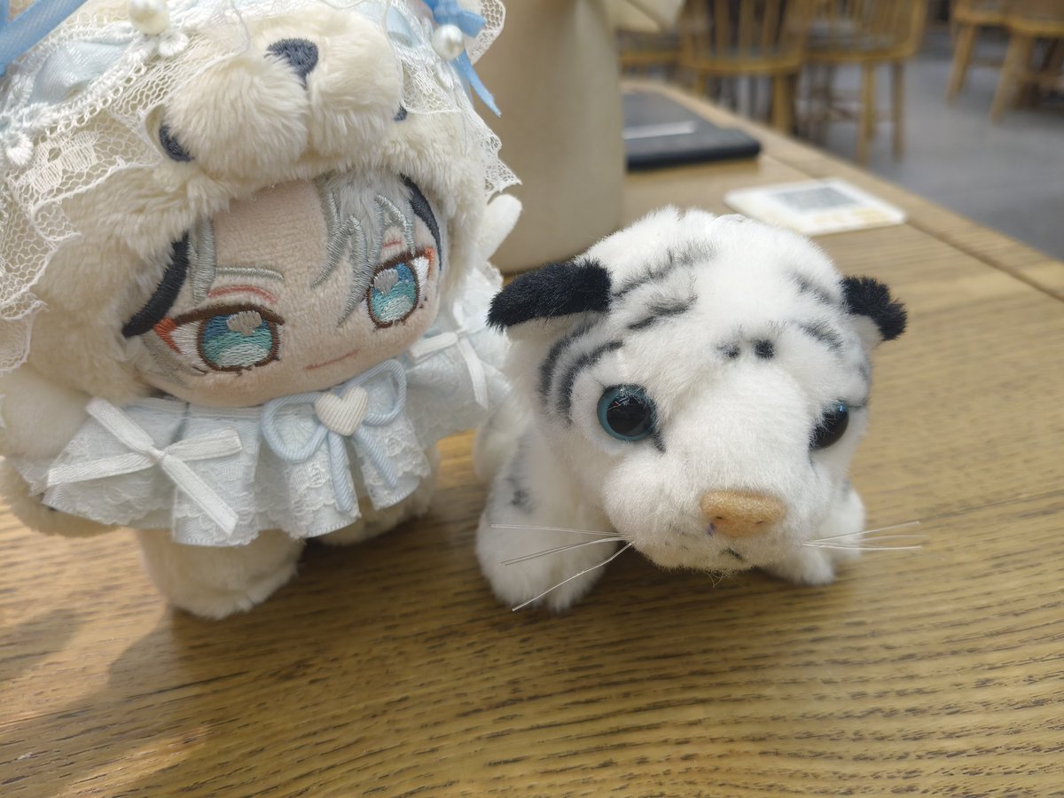 lqqycz's tweet image. 