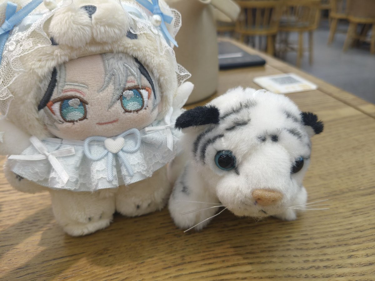 lqqycz's tweet image. 