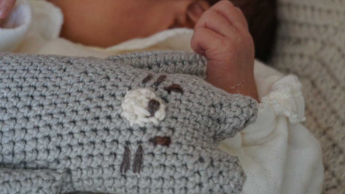 くろまめ🫘webデザイナー🫘イラストレーター tweet media