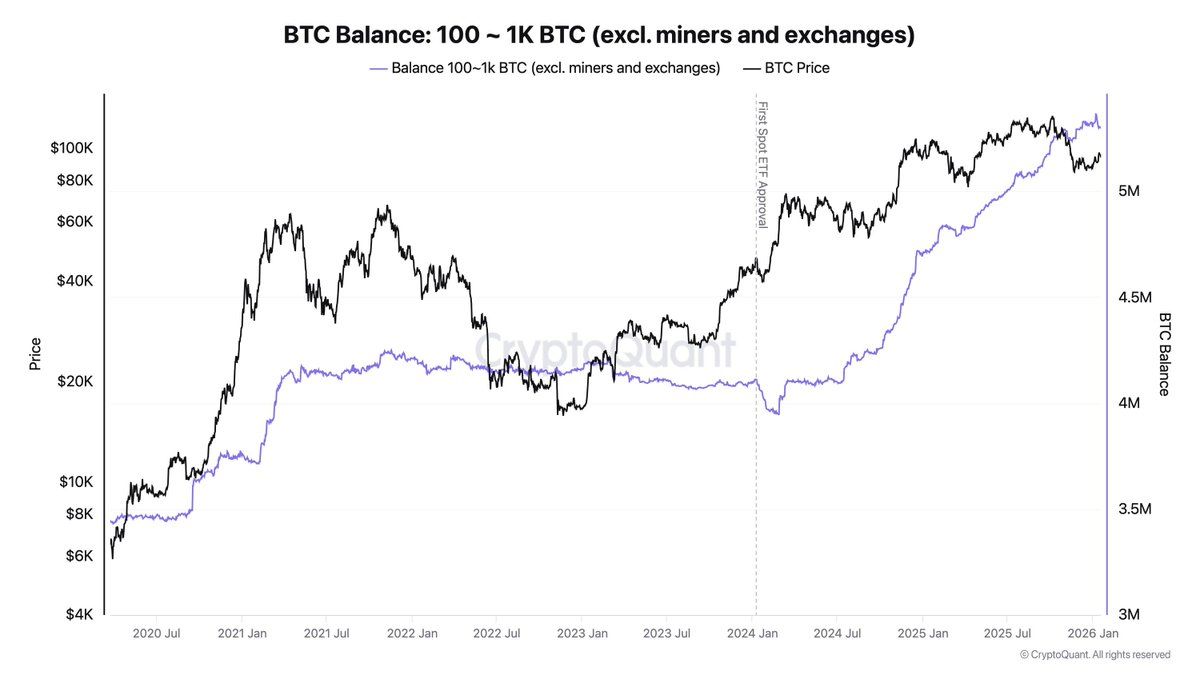 美国托管钱包过去一年新增57.7万枚BTC，价值约530亿美元。