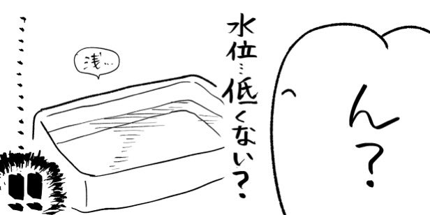 新春けもケ前日~当日レポ② 