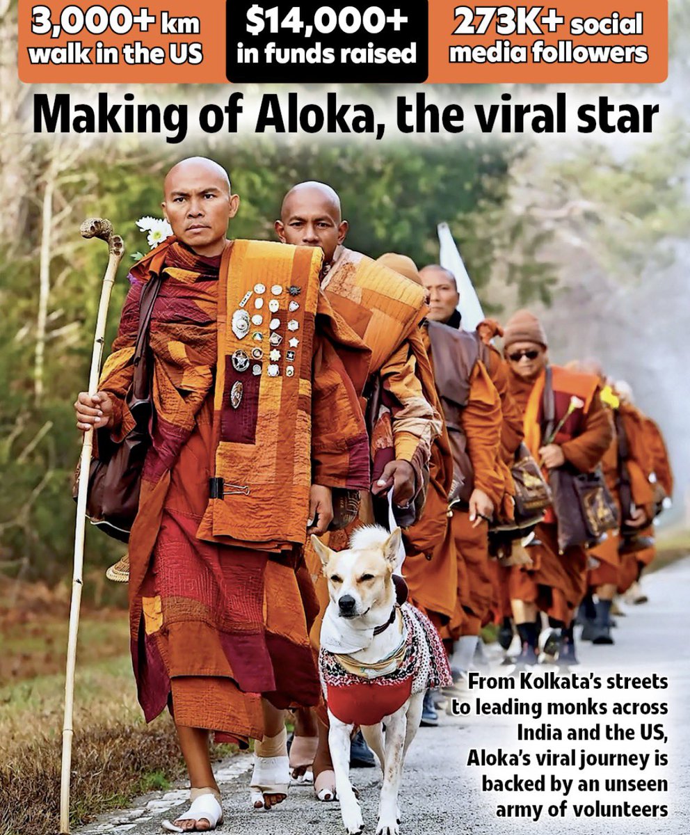 Meet $Aloka the viral start