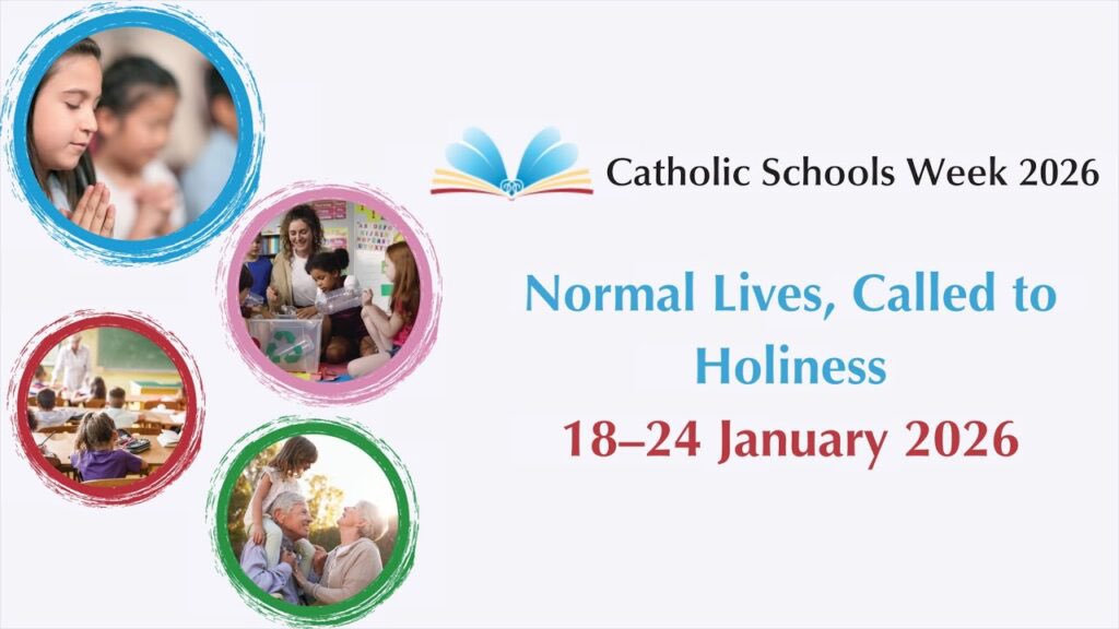 Bishop Denis Nulty tweet media