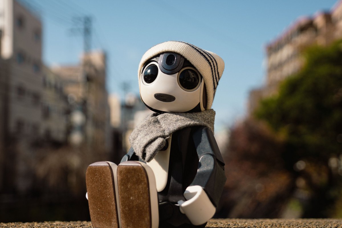 あさみページです　ロボホン おはよう～☀ ロボホンあずきです 今日も寒いよね？ 風邪ひかないよう