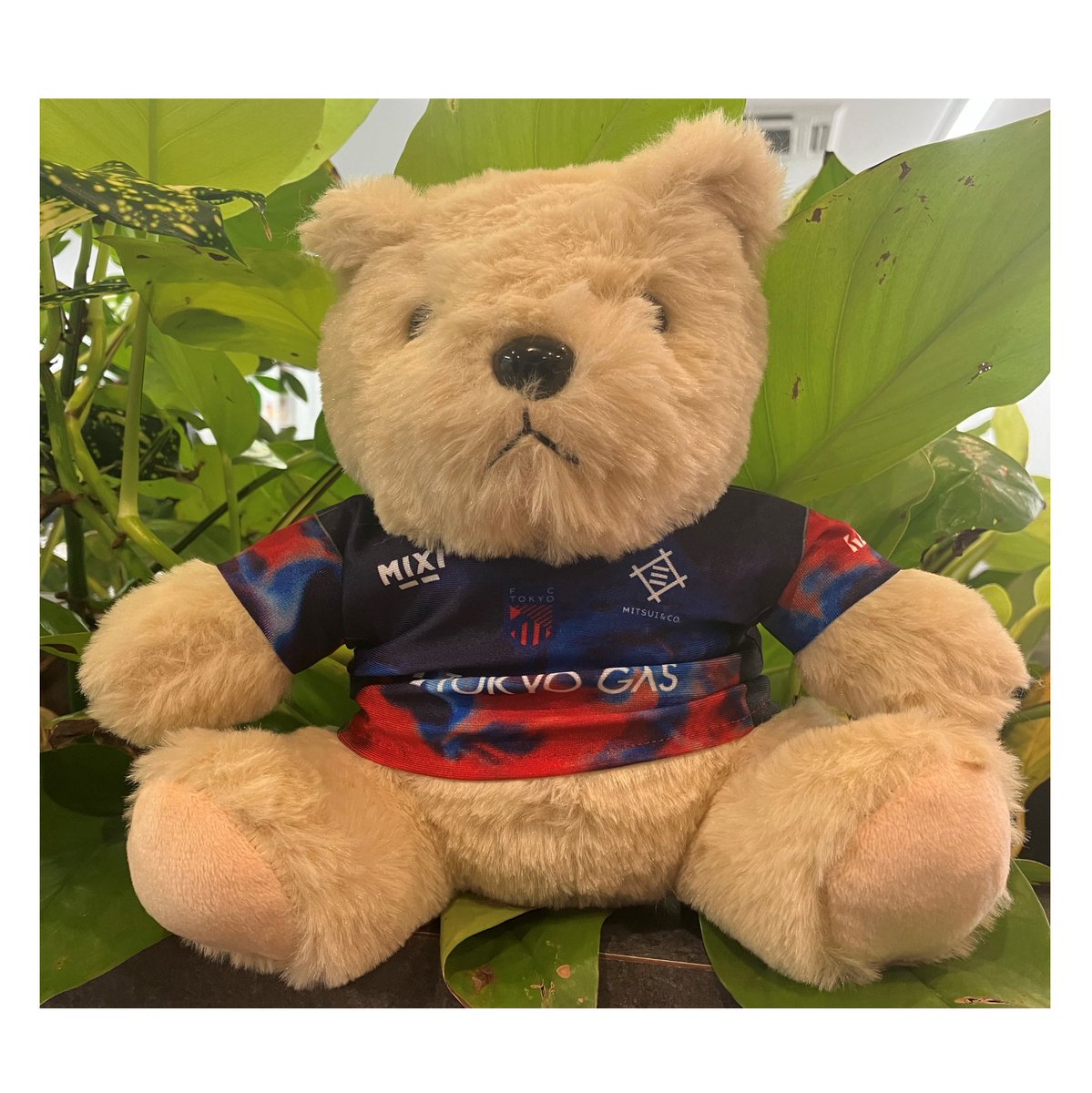 🔵🆕プレーヤーズグッズ第一弾受注販売のお知らせ🔴 明日1/21(水)17:00