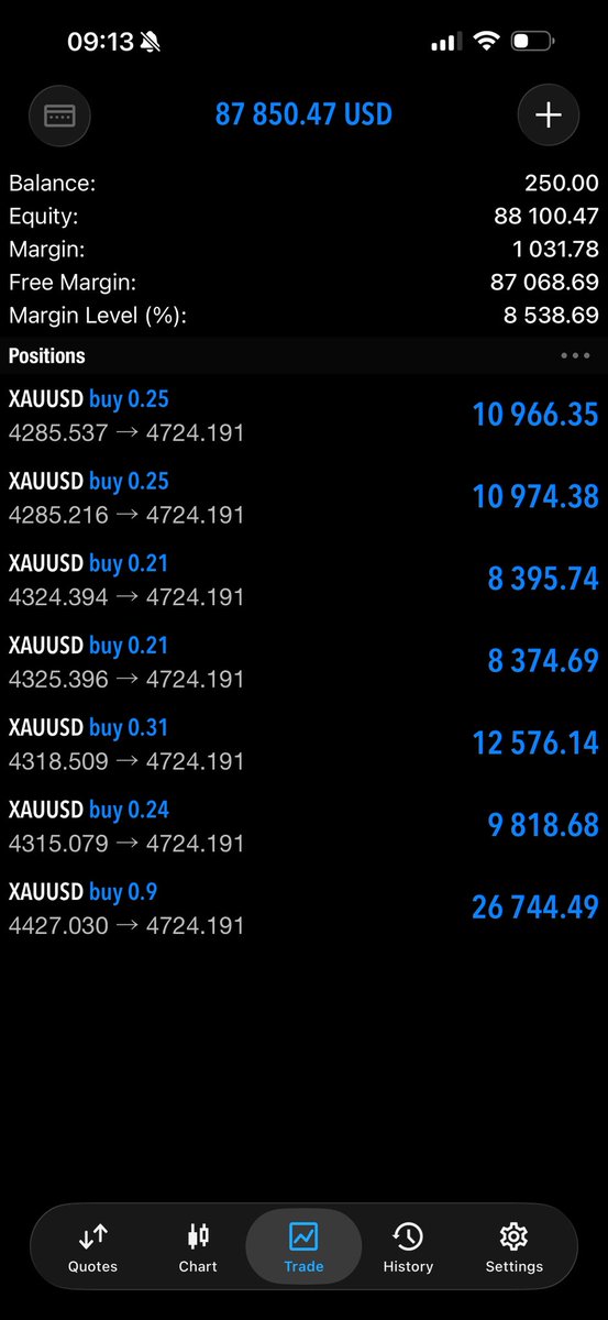 P.N.M🦉 tweet media