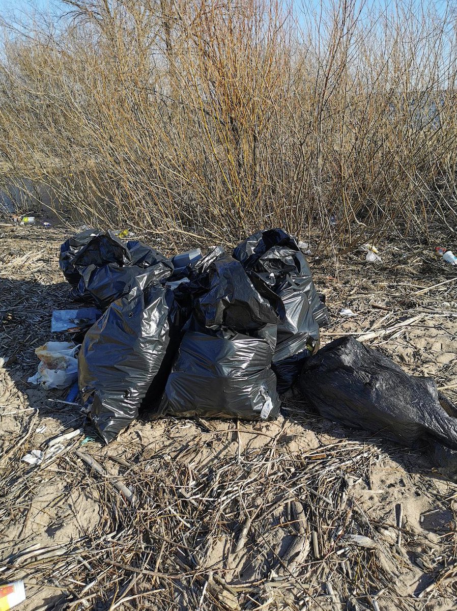 Error 404 tweet media