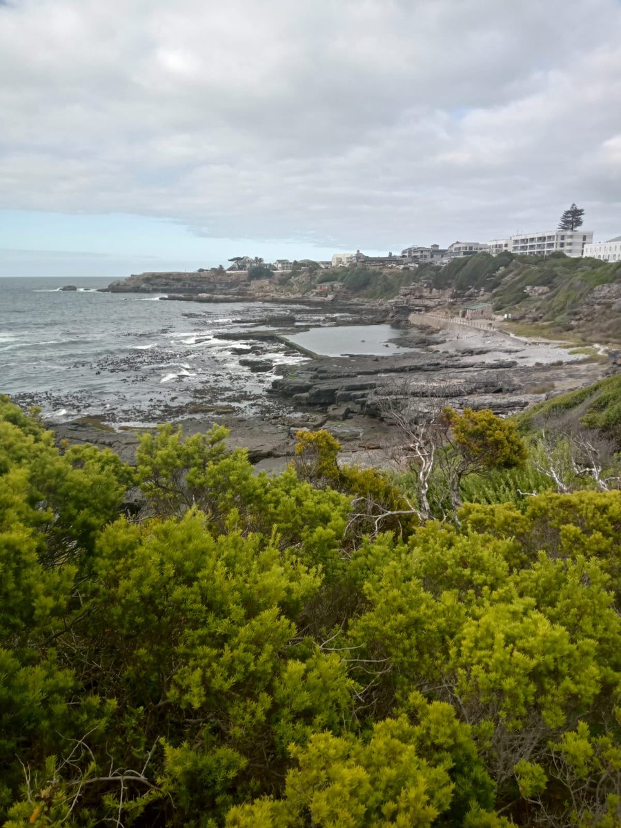 Hermanus Tourism tweet media