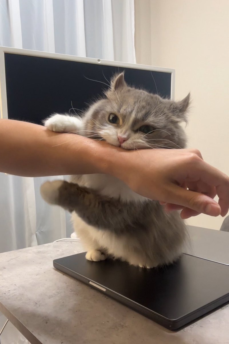 じっと顔見て甘えてくるけど対応ミスったらこれ