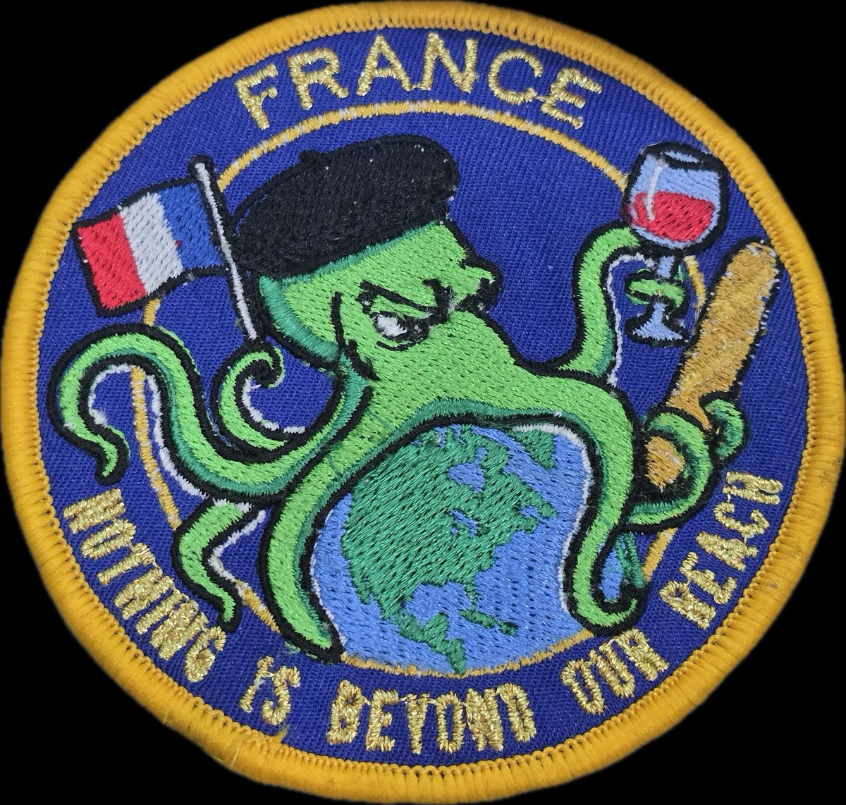 Nous sommes enchantés et honorés de votre soutien massif !

Je glisse de nouveau la photo des vrais écussons pour remotiver les troupes.