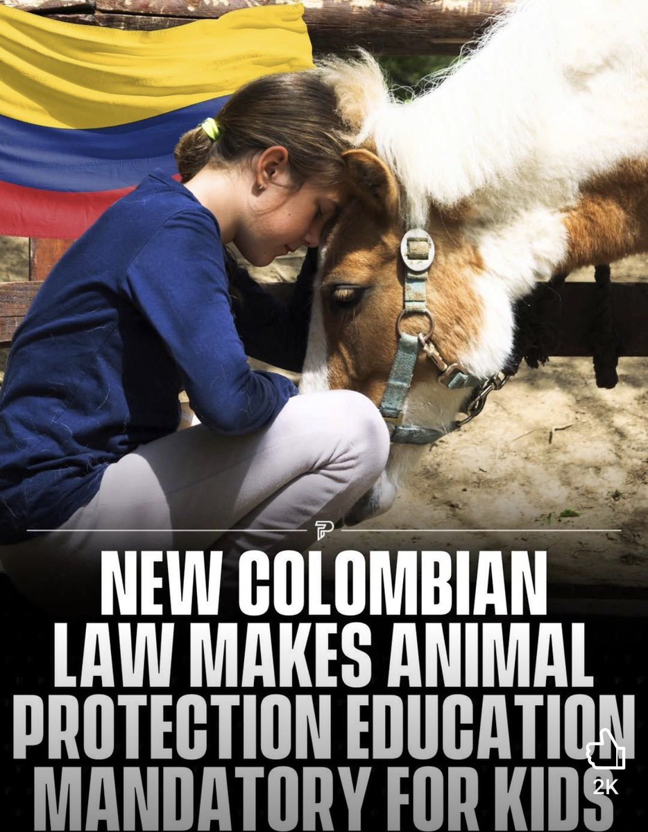 Colombia just approved the “Empathy Law” (Law 010 of 2024), a groundbreaking initiative that brings respect and care for animals and nature into schools, from preschool to secondary education.

This isn’t about adding another subject to the curriculum. It’s about transforming the