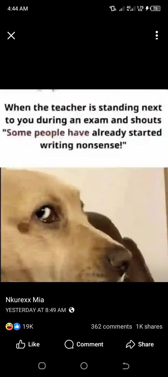 "Fluid mechanic"was a nightmare course to me.