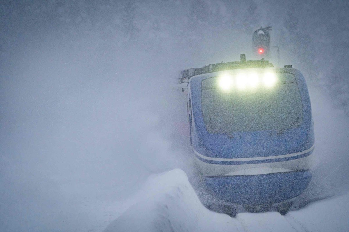 ブーちゃん (@gj5lSm7sYCsZlZP) / Posts / X