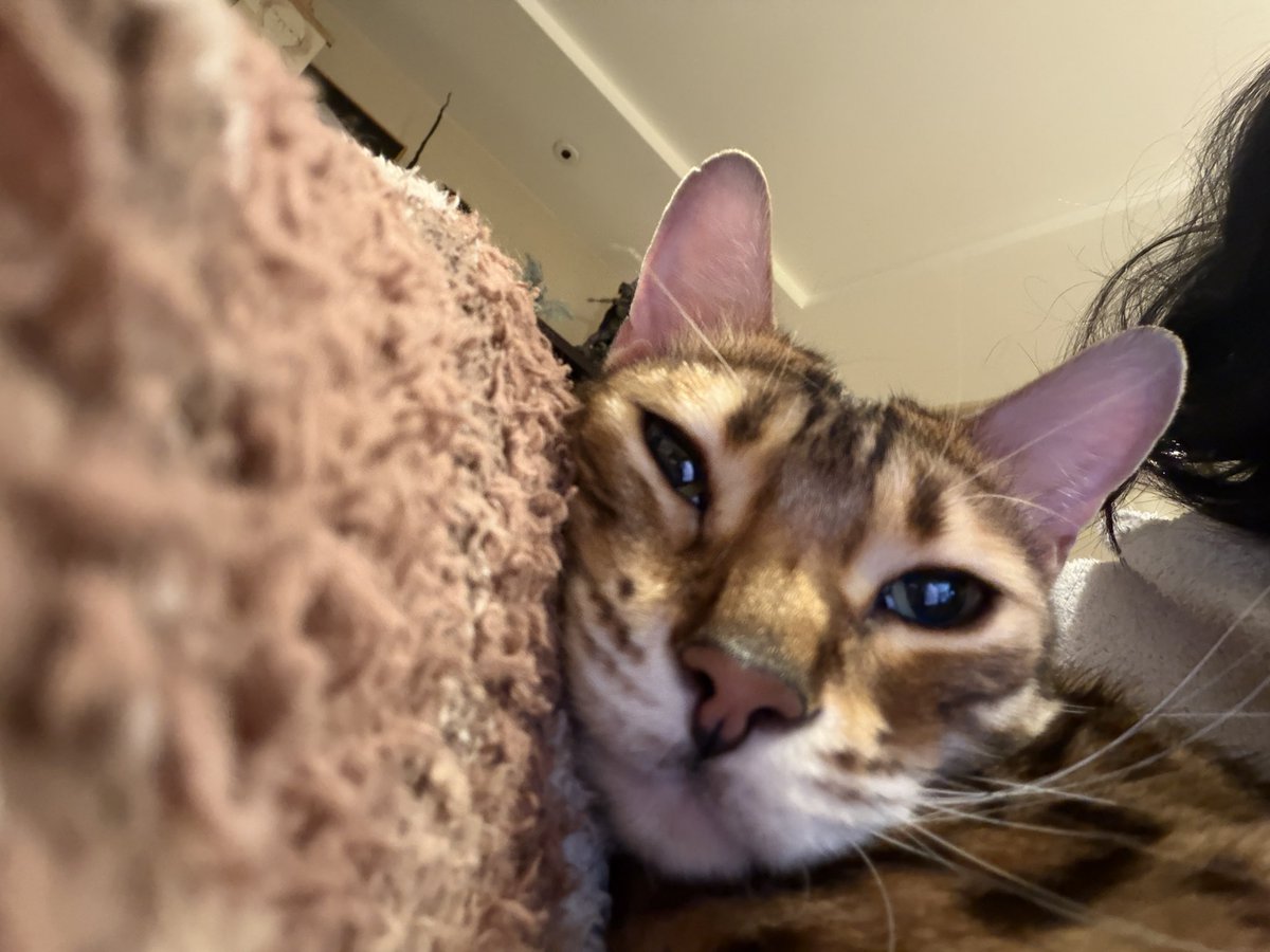 陈一发儿 tweet media