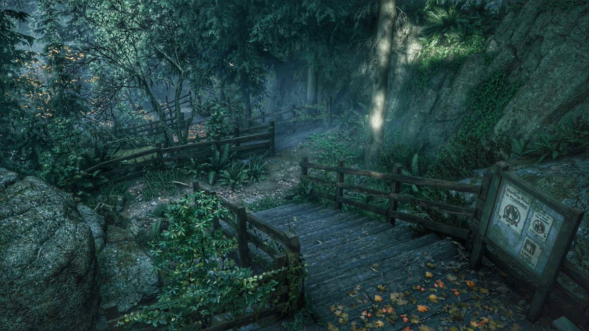 CBVP 📸 Virtual Photography tweet media