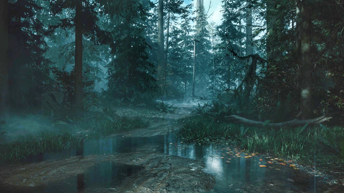 CBVP 📸 Virtual Photography tweet media