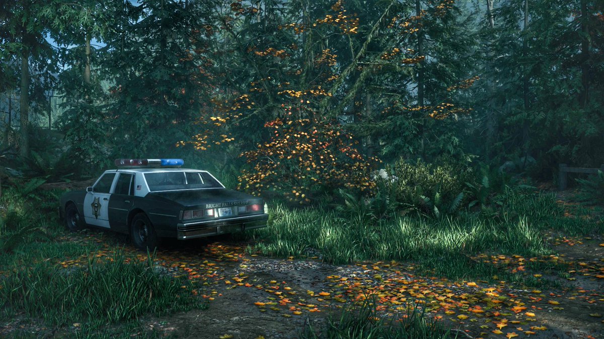 CBVP 📸 Virtual Photography tweet media