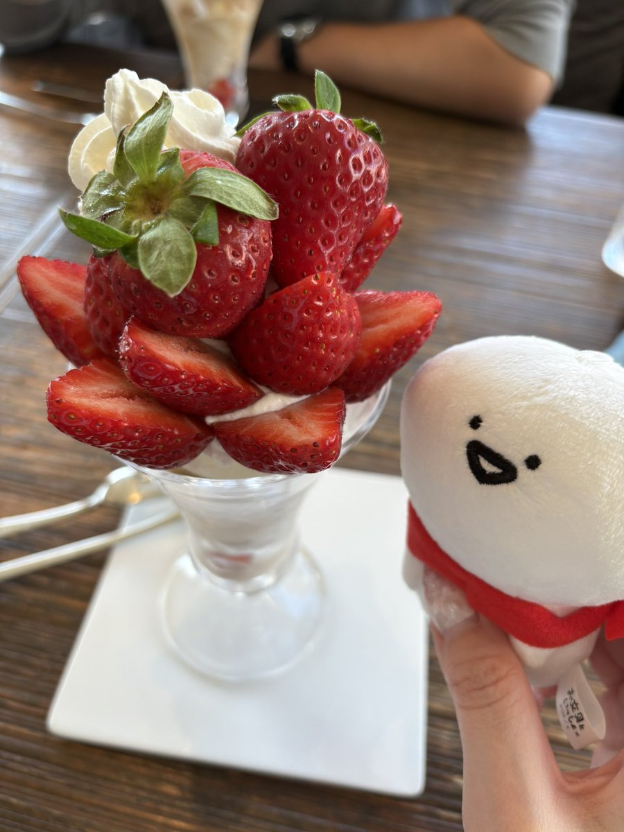 obu_pudding_'s tweet photo. おぶと苺(̨̡   ˙ࠏ˙    )̧̢🍓 https://t.co/iJ14hxxaKu