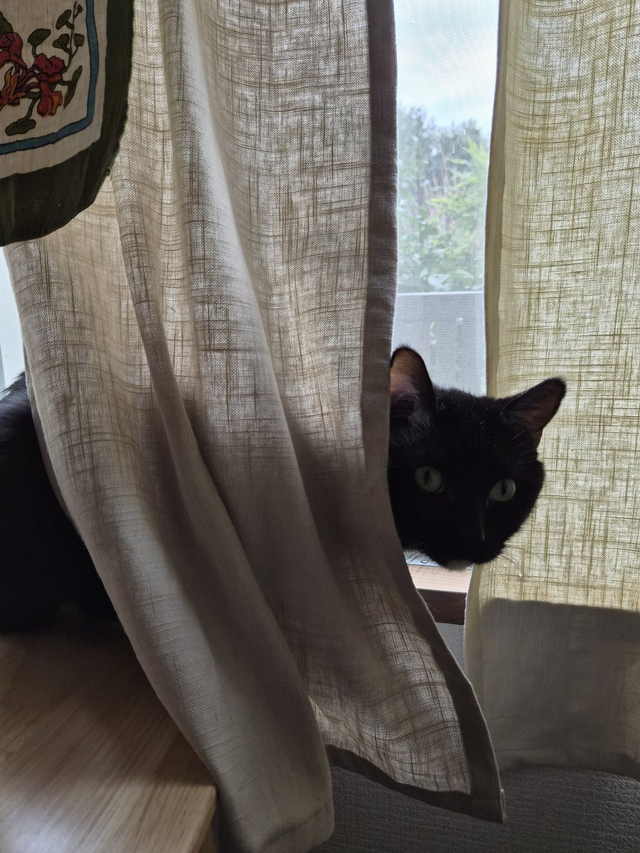 元中野 (@mn_winst) on Twitter photo 