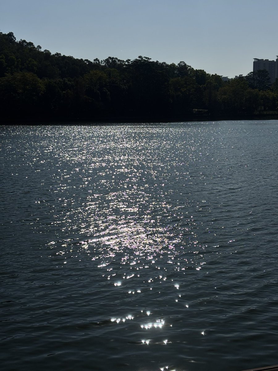 不错很满意的照片😎