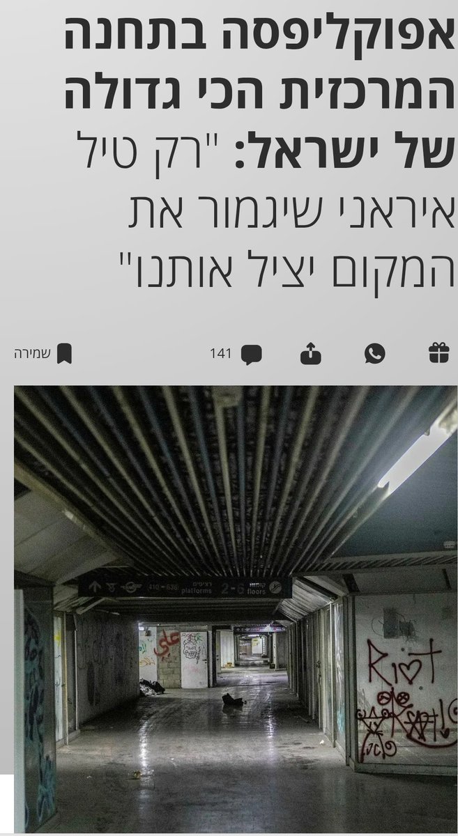 Elizabeth Tsurkov tweet media