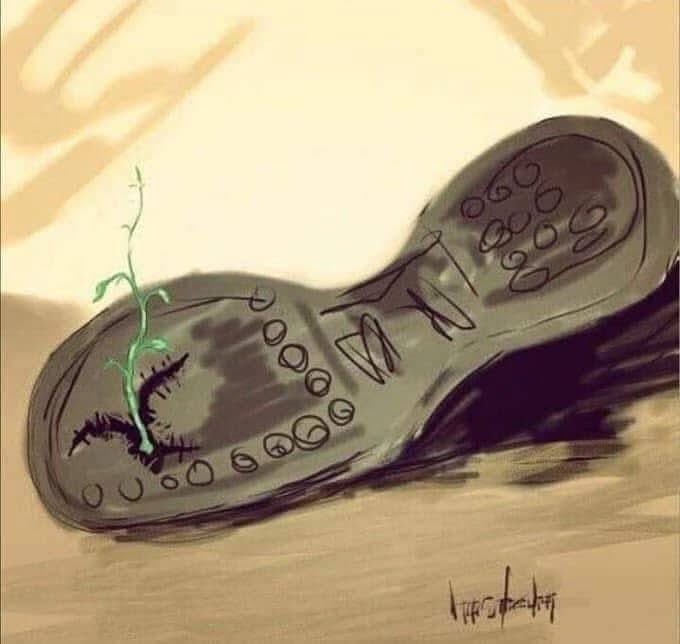 emreturkut's tweet photo. “Evet kendimi bir güvercinin ruh tedirginliği içinde görebilirim, ama biliyorum ki bu ülkede insanlar güvercinlere dokunmaz” demişti Hrant Dink.

Dün katledilişinin 19. yılıydı. 

2007 yılında lise öğrencisiyken onu anmak için yazdığım okul gazetesi yazım.

#BuradasınAhparig https://t.co/yzit4Ln9bG