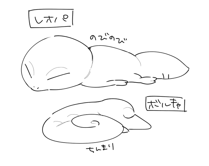 同じヤモリでも寝方が違うのカワイイネ… 