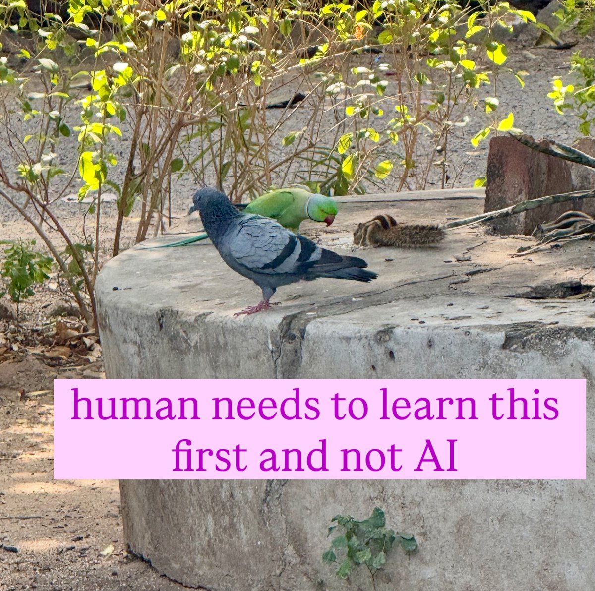 Sanjaykumar Patel tweet media