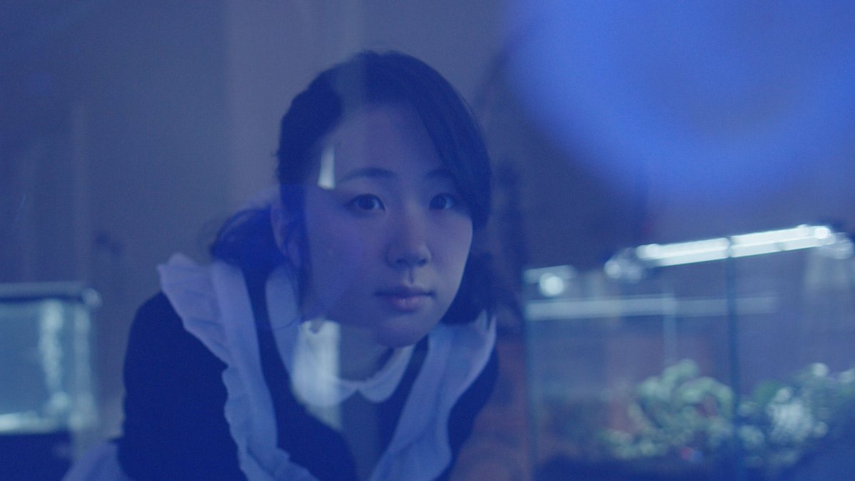 岩井俊二映画祭 Iwai Shunji film festival tweet media