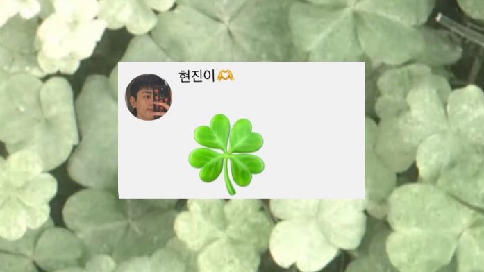 ˚̣̣̣࿔┣▇▇▇═🍀─